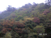 s_pict0027_thumb.png